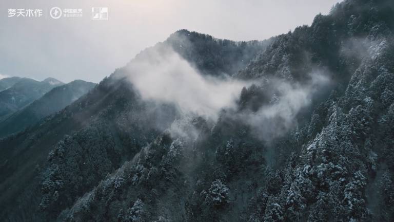 大奖国际·18dj18(中国)官方网站木作 静奢系列